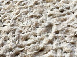 Close-up texture of swiss cheese with visible holes and creamy surface photo