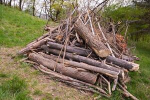 Pile of assorted logs and branches arranged haphazardly on grassy hillside, showcasing natural textures and organic shapes, surrounded by lush greenery and trees in a serene outdoor setting photo