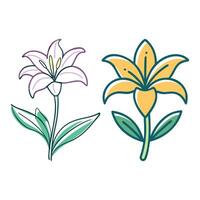 illustration of a lily flower vector