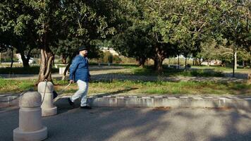 Man Walking With His Suitcase During A Trip video