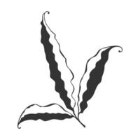 Leaf doodle hand drawn, silhouette leaves on white background. Botanical element design. vector