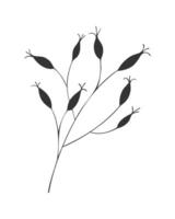 Silhouette of Rosehips branches on white background. Rosehips or roses, harvest, source of vitamin C. Hand drawn doodle. vector