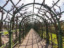 arch in the park Petergof or Peterhof, known as Petrodvorets from 1944 to 1997 photo