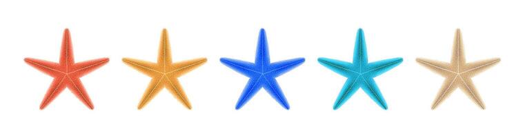 Five vibrant starfish arranged in a line, showcasing diverse colors from red to beige on a white background. Perfect for marinethemed designs. with copy space vector