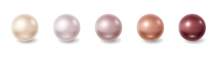 Realistic illustration of five pearls in different shades ranging from cream to maroon on white background representing luxury and elegance with copy space. vector