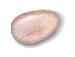 Realistic illustration of a polished rose quartz stone. Soft pink tones create a calming effect. Used in healing and decoration for its beauty and energy properties. vector