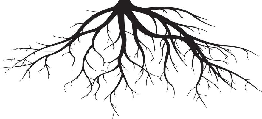 Tree roots silhouette illustration.
