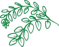 Green botanical branch line drawing. vector