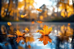 Golden Leaves Dance on Tranquil Pond Creating Reflective Serenity photo