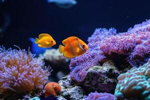 Harmony of Colors Serene Marine Life in Biodiverse Ecosystem photo