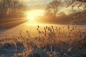 Soft Sunlight Illuminating the Landscape Below photo