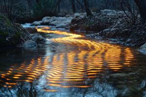 Reflections of Light on Serene Stream Highlighting Skeletal Structure photo