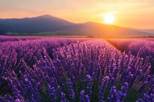 Stunning and Vibrant Nature Photography Landscapes Captured in High Quality photo