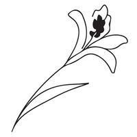 simple icon of a closed lily bud drawn with several lines in line art style, for logos and tattoos vector