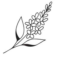 simple icon of a lilac branch drawn with several lines in line art style, for logos and tattoos vector