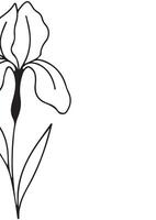 vertical poster or card template with an iris bud icon drawn with several lines in line art style, for logos and tattoos vector