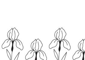 poster or postcard template with an iris bud icon drawn with several lines in line art style, for logos and tattoos vector