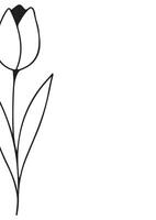 vertical poster or greeting card template with a simple tulip bud icon drawn with a few lines in line art style, for logos and tattoos vector