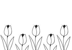poster or greeting card template with a simple tulip bud icon drawn with a few lines in line art style, for logos and tattoos vector