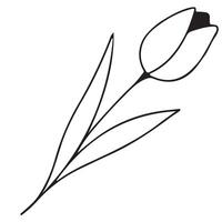 simple icon of a tulip bud drawn with a few lines in line art style, for logos and tattoos vector