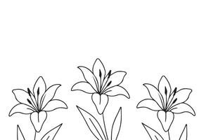 poster or card template with a simple lily bud icon drawn with a few lines in line art style, for logos and tattoos vector