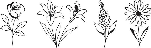 set of simple icons of buds of various flowers and branches drawn with several lines in line art style, for logos and tattoos vector