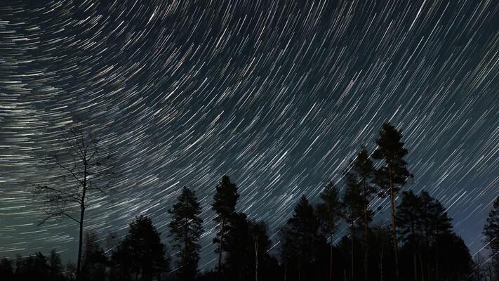 キャンバスドローイング『The forest at night』 キャンバスドローイング『The forest at night』 Mystical