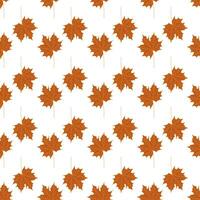 seamless pattern of maple fall leaves vector