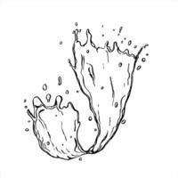 monochrome pure water splash with drops black and white drawing. Flowing water wave texture with bubbles graphic sketch for beverage branding, skincare packaging, summer freshness design vector