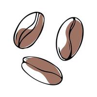 Set of coffee beans in linear hand drawn style.Illustration of scattered beans. vector