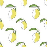 Tropical seamless background with line art lemons. Citrus repeating pattern. vector