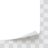 paper bottom corner rolled on template back vector
