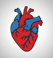 Human heart icon illustration vector
