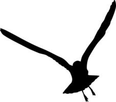 Silhouette of a flying seagull on a white background vector