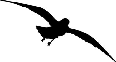 Silhouette of a large seagull flying fast on a white background vector