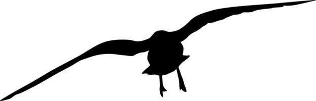 Silhouette of a seagull flying in the sky on a white background vector