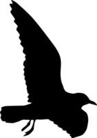 Silhouette of a seagull soaring in the sky on a white background vector