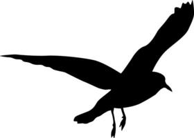 Silhouette of a seagull fluttering in the sky on a white background vector