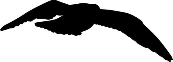Silhouette on a white background of sea gull vector