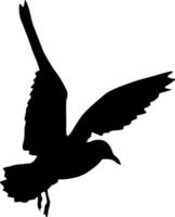 Silhouette on a white background of a sea gull. vector