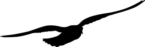 Silhouette of a seagull flying forward on a white background vector