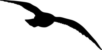 Silhouette of a large seagull flying into the distance on a white background vector