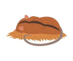 Field Mouse Sleeping on a Straw Litter, Cute Fluffy Red Rodent Animal with Black Stripe on Its Back, View From Behind Illustration vector