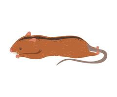 Field Mouse Lying on Its Stomach and Sleeping, Fluffy Red Rodent Animal with Black Stripe on Its Back Illustration vector