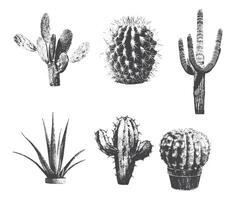 different cactuses with monochrome vintage photocopy effect, y2k collage design vector