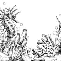 Seahorse, jellyfish, seashell, coral, starfish, sea sponge, algae, pebbles and bubbles. Hand drawn graphic illustration in black and white color line art. Frame template for text on undersea theme vector