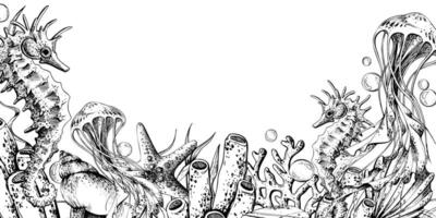 Seahorse, jellyfish, corals, sea sponges, seaweed, shells, starfish and bubbles. Hand drawn graphic illustration in black and white color line art. Frame template horizontal for text on marine theme vector