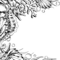 Seahorse, jellyfish, seashell, coral, starfish, sea sponge, algae, pebbles and bubbles. Hand drawn graphic illustration in black and white color line-art. Frame template for text on marine theme vector