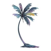 Vibrant watercolor palm tree silhouette, hand-painted in lush tropical tones. Perfect for travel designs, beach branding, and summer-themed projects as a standalone element. vector