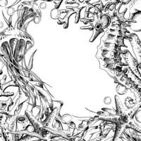 Seahorse, jellyfish, seashell, coral, starfish sea sponge, algae, pebbles and bubbles. Hand drawn graphic illustration in black and white color line art. Frame template square for text on marine theme vector